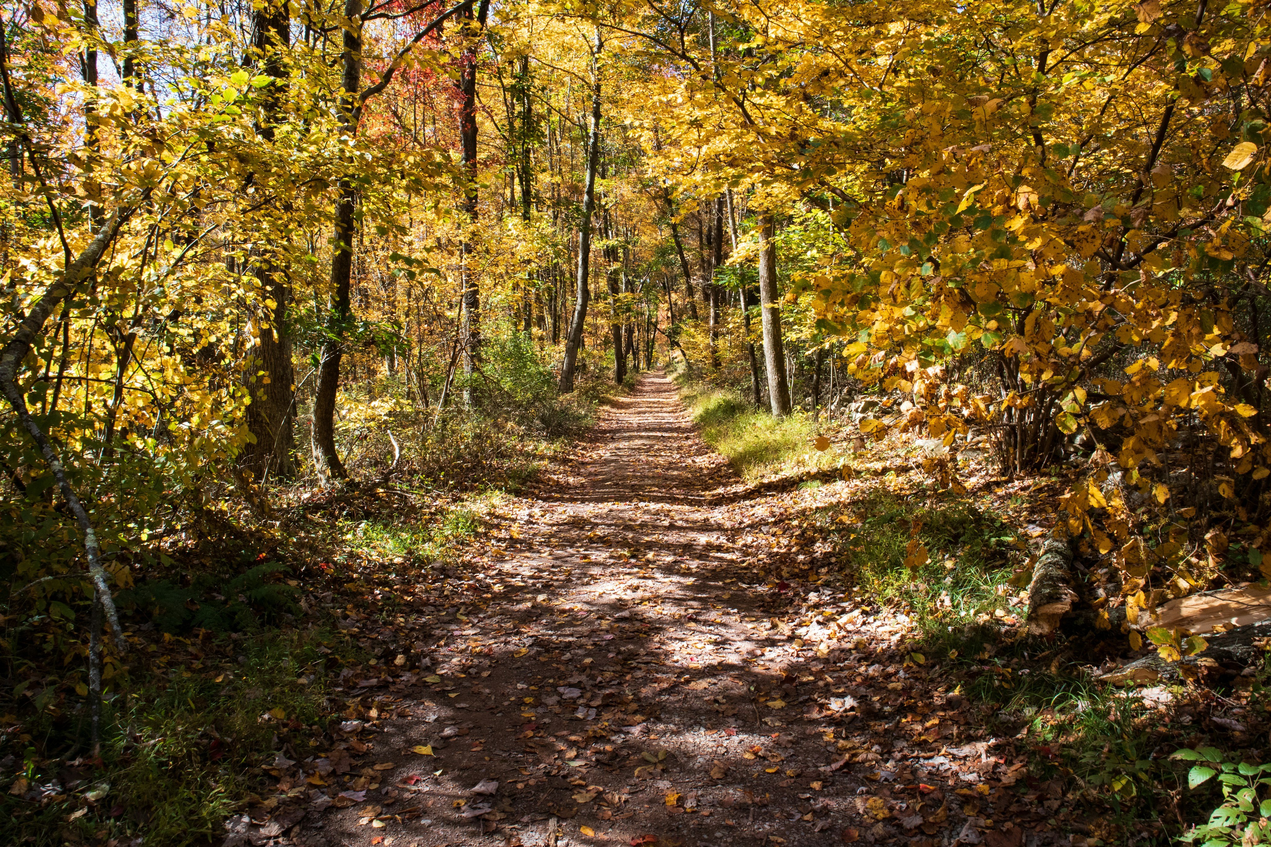 Senderismo por los Poconos