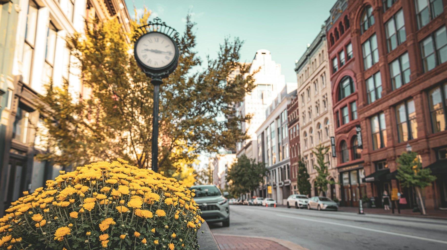 Louisville Events Guide