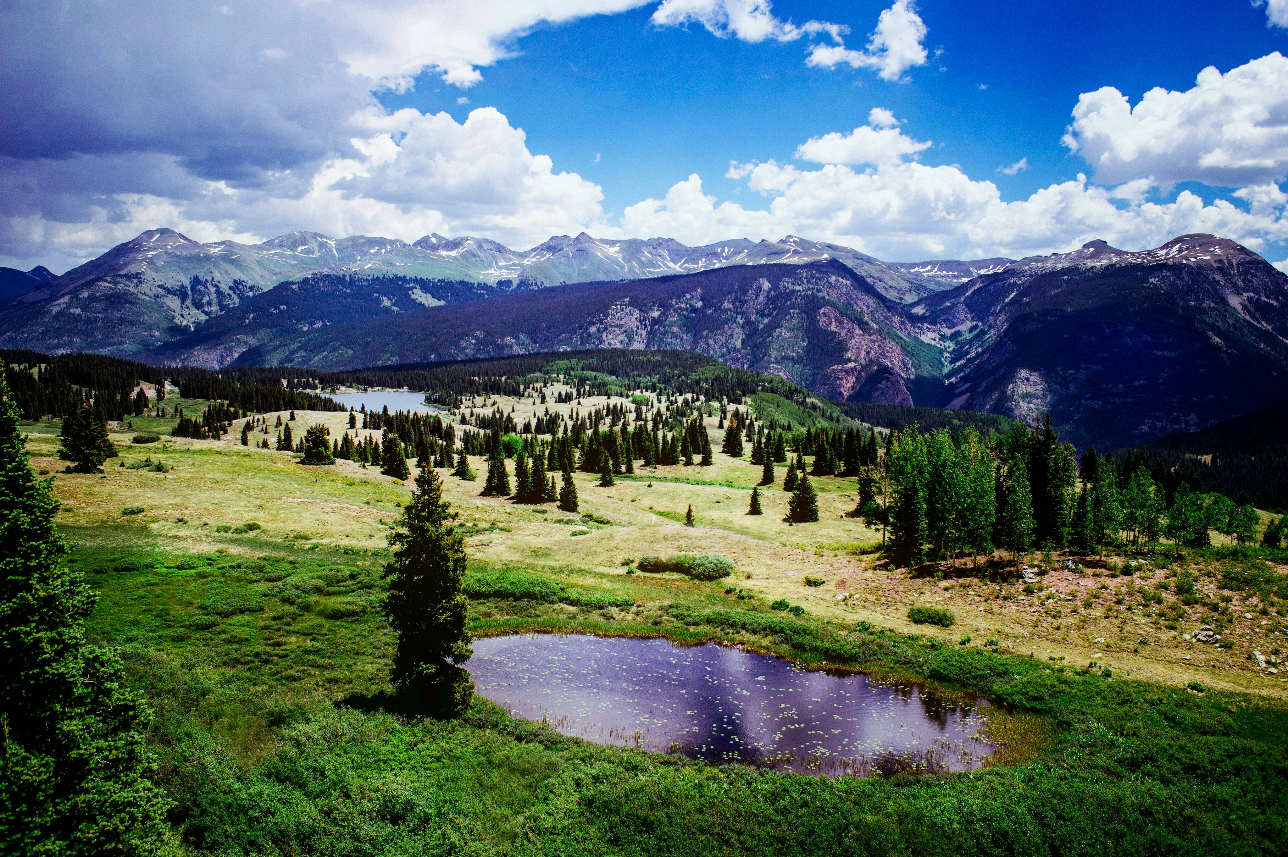 Alpine meadow and mountain pond at Molas Pass, Colorado