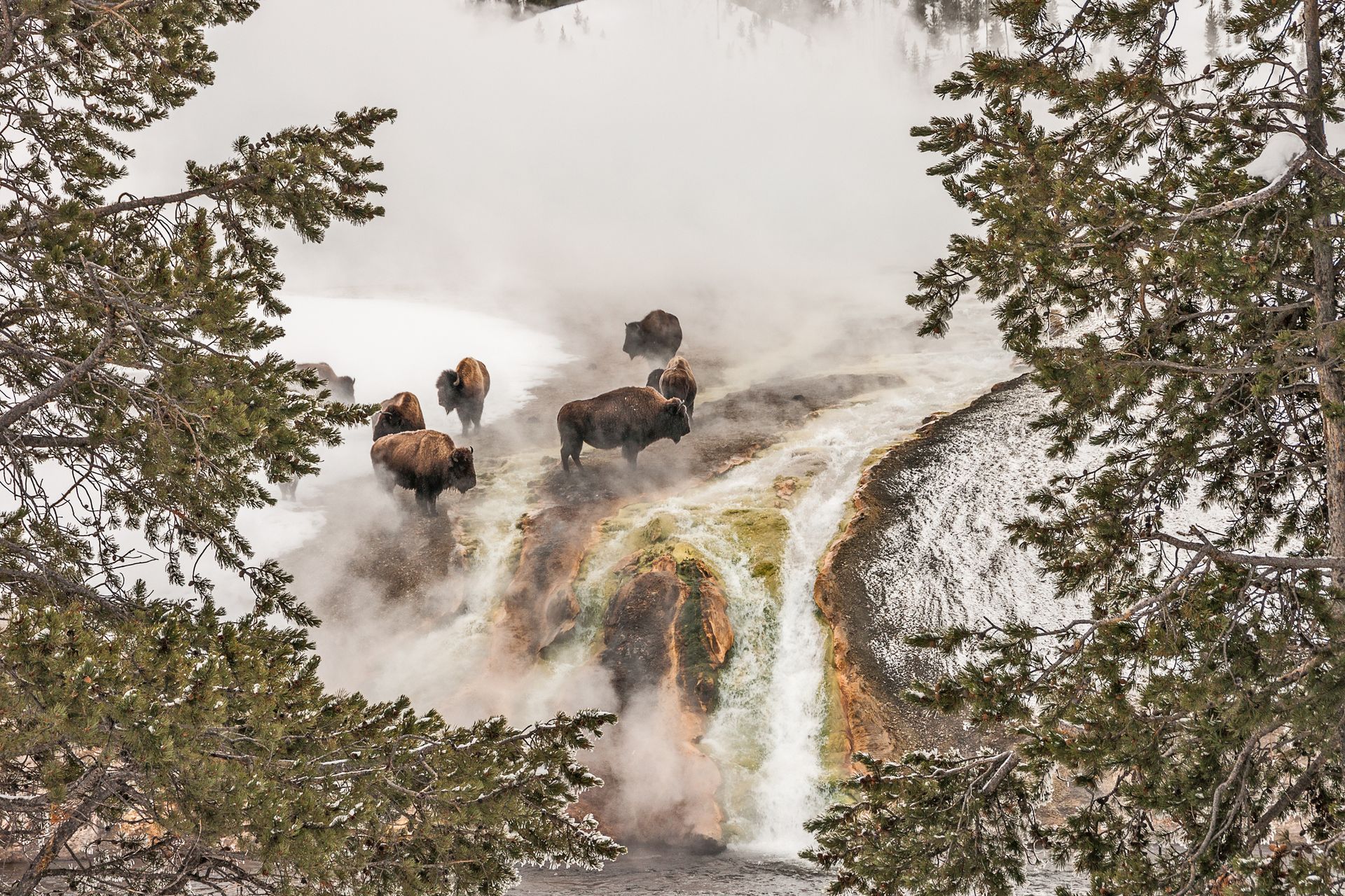Near National Parks