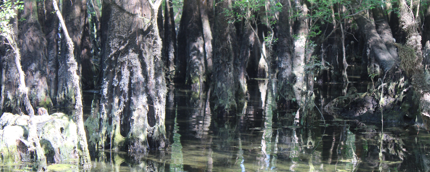 Morrison Springs Park
