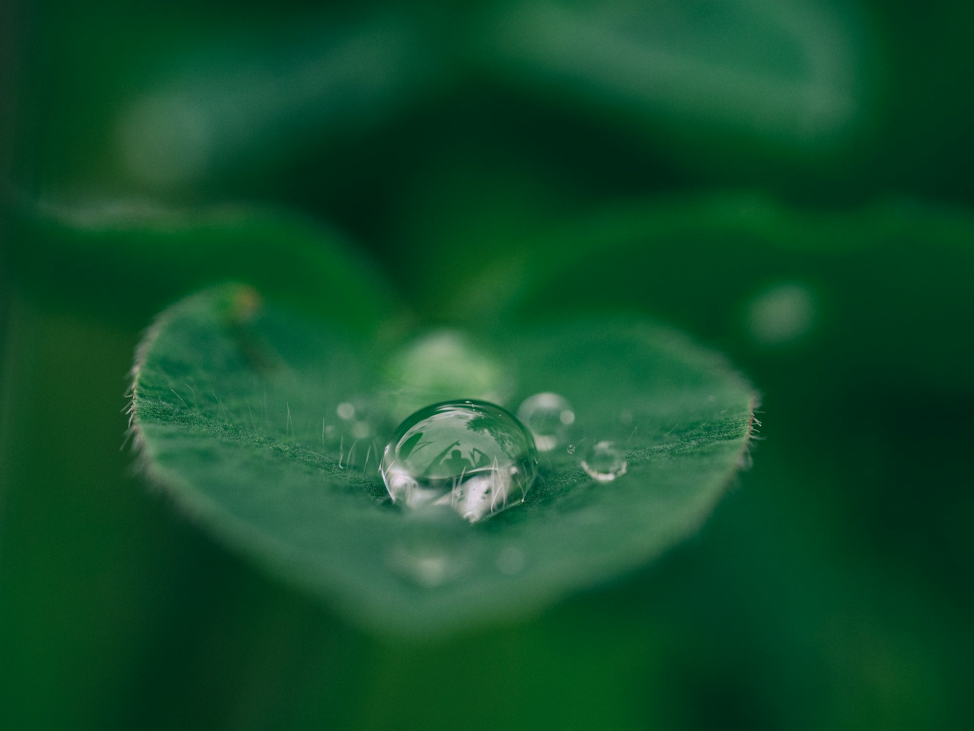 Request for Startups: Water
