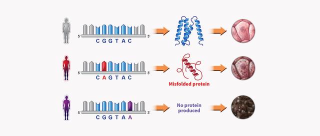 Perlstein Lab (YC W16) Automates Drug Discovery for Rare Diseases