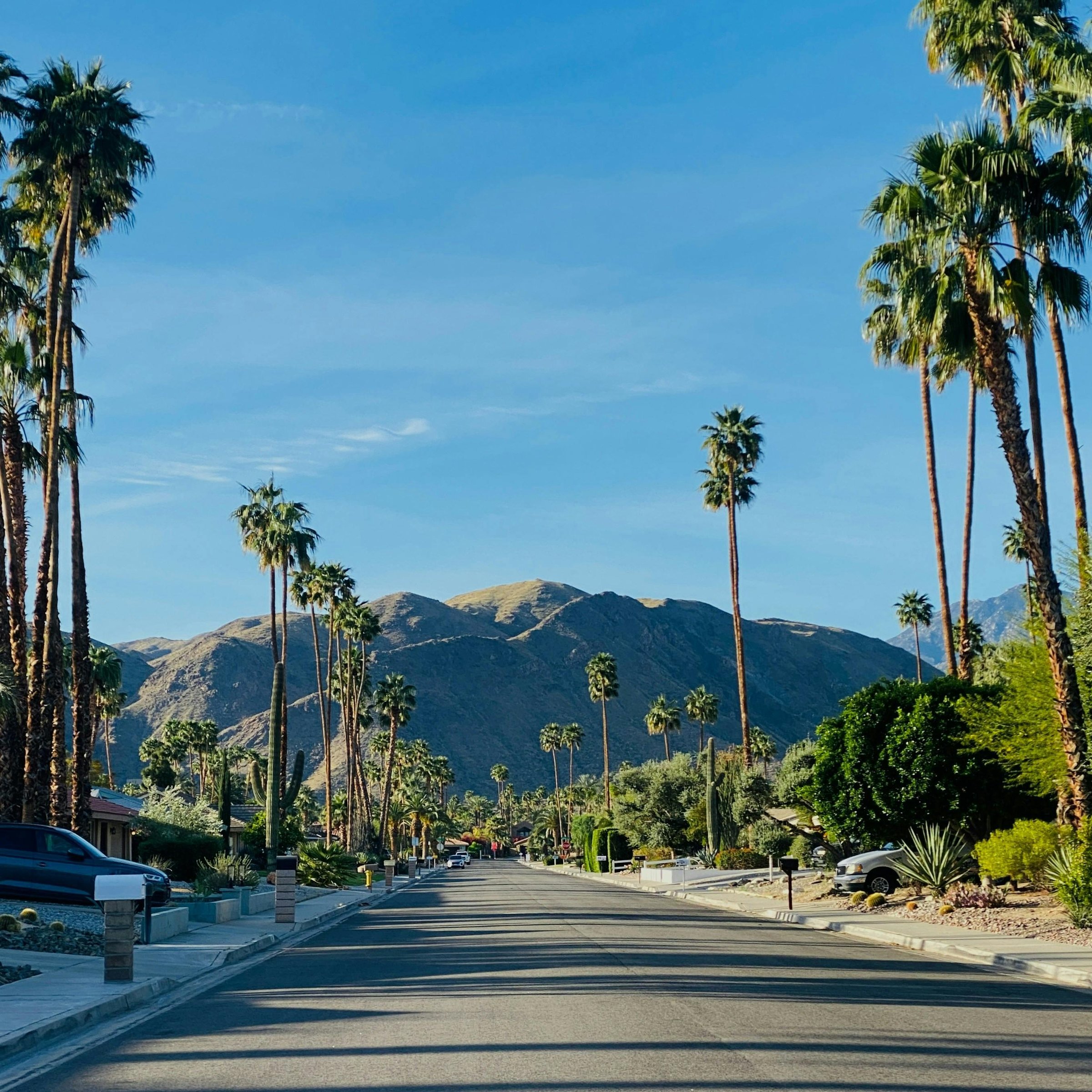 Palm Springs: Desert Modernism