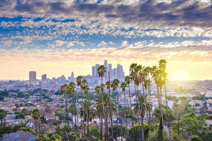 Where Global Teams Live in LA: Noma to World Cup