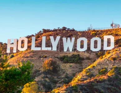 Hiking The Hollywood