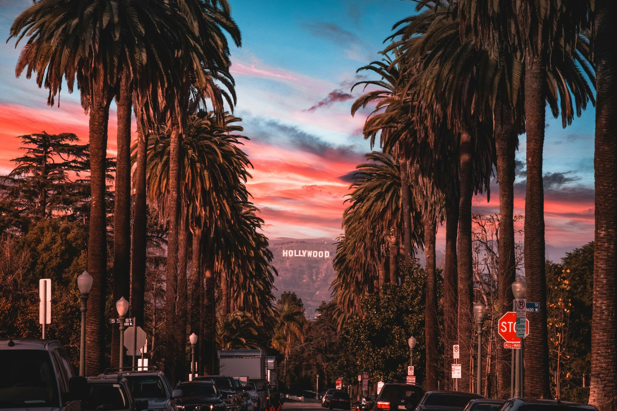 palm trees lining street at sunset