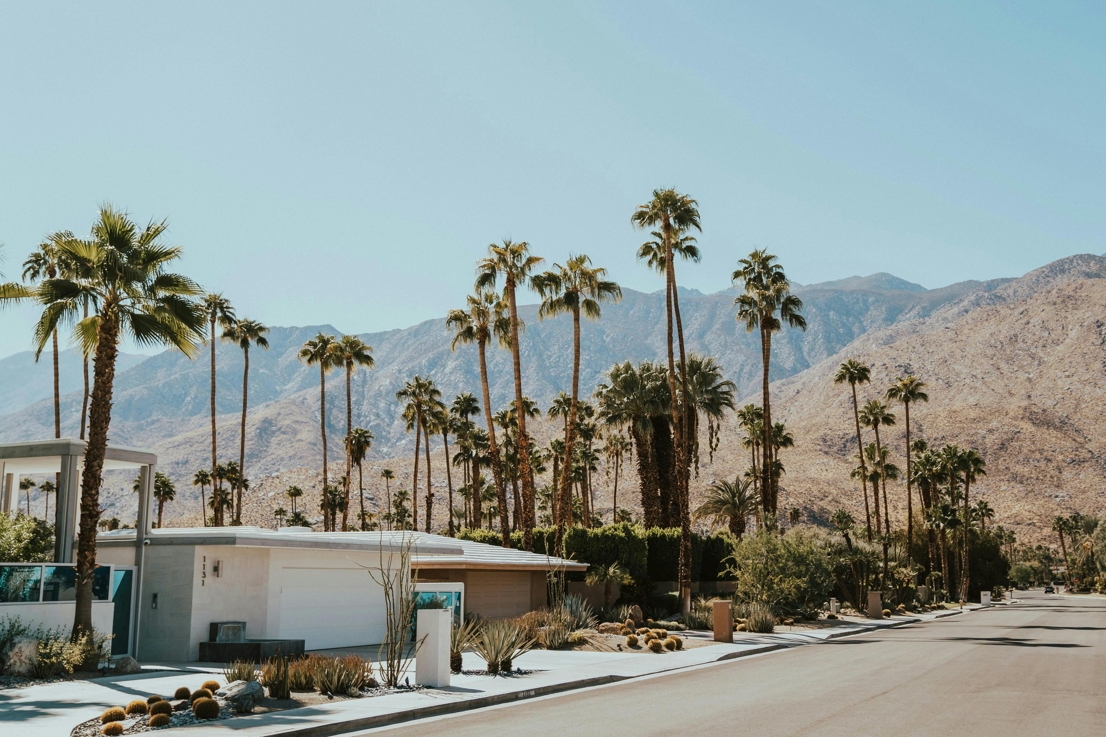 Palm Springs Destination Guide