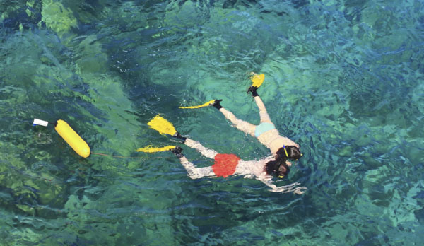 Snorkel Maui's Honolua Bay