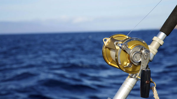 Cure Cabin Fever By Fishing In Warm Maui Waters