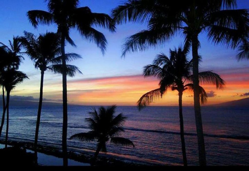 Tips for a Safe and Enjoyable Maui Vacation