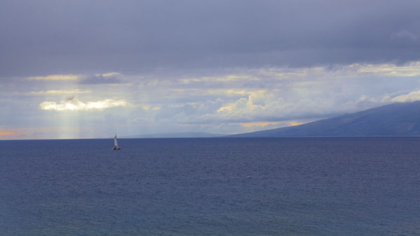 Sail Away To Paradise This Christmas