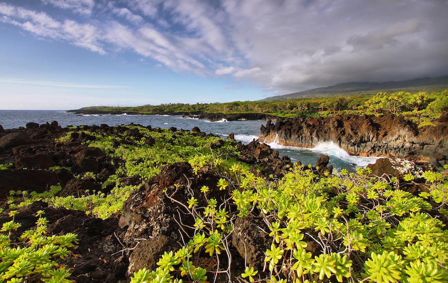 Have You Explored The Maui Lava Tubes?