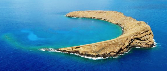 Maui Vacation Tip: Try Snorkeling at Molokini and Turtle Town