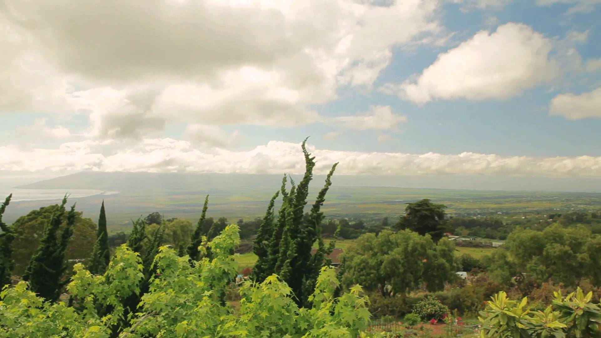 Visit Upcountry Kula, Maui, Hawaii
