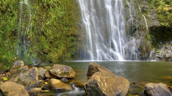 How Does A Maui Vacation Compare?