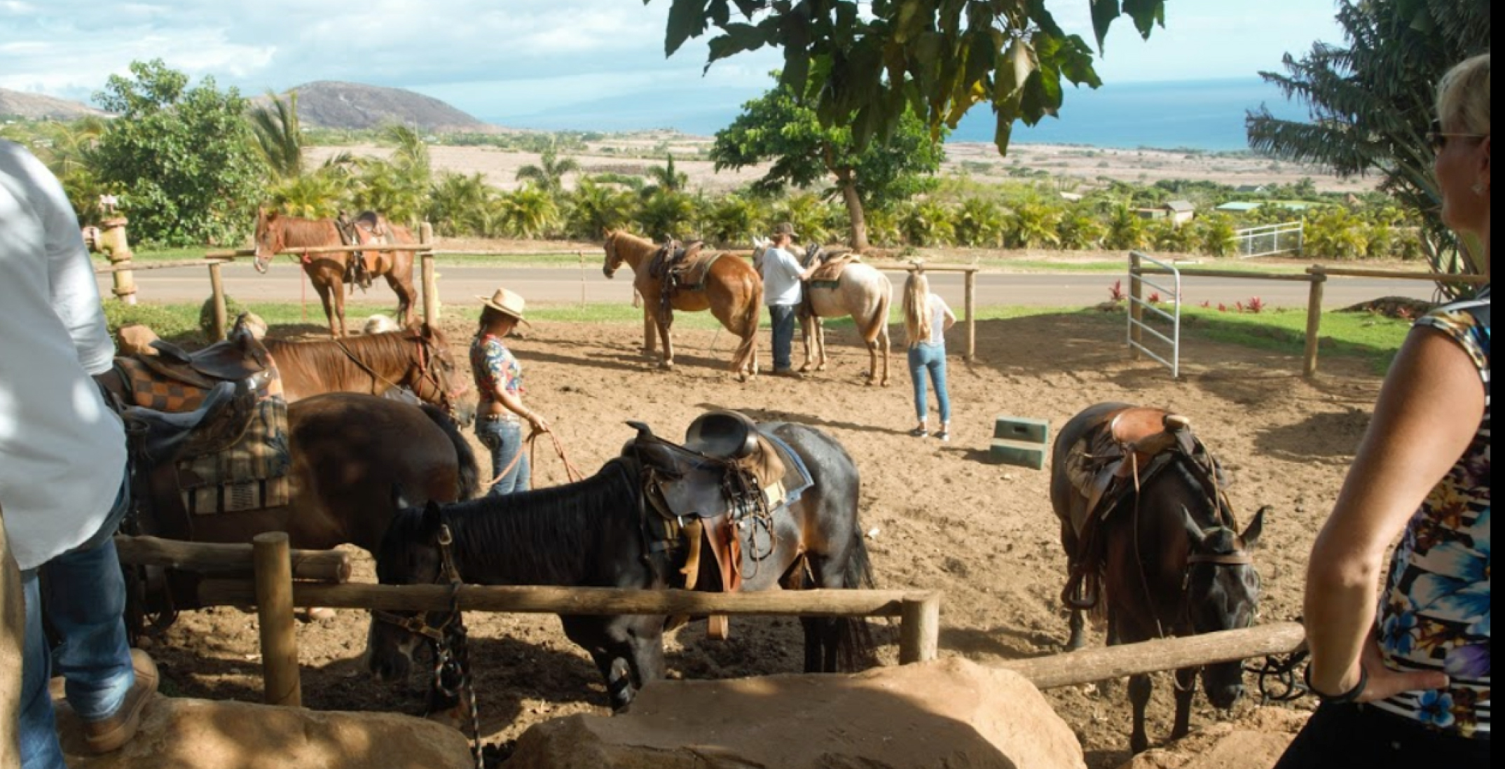 Maui Horseback Riding