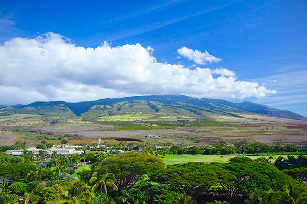 Otherworldly Attractions You Should Not Miss on Your Maui Vacation