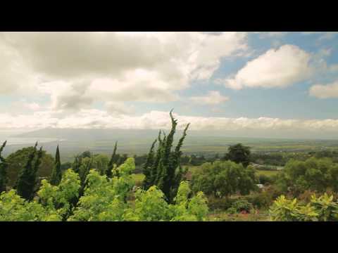Visit Upcountry Kula Maui