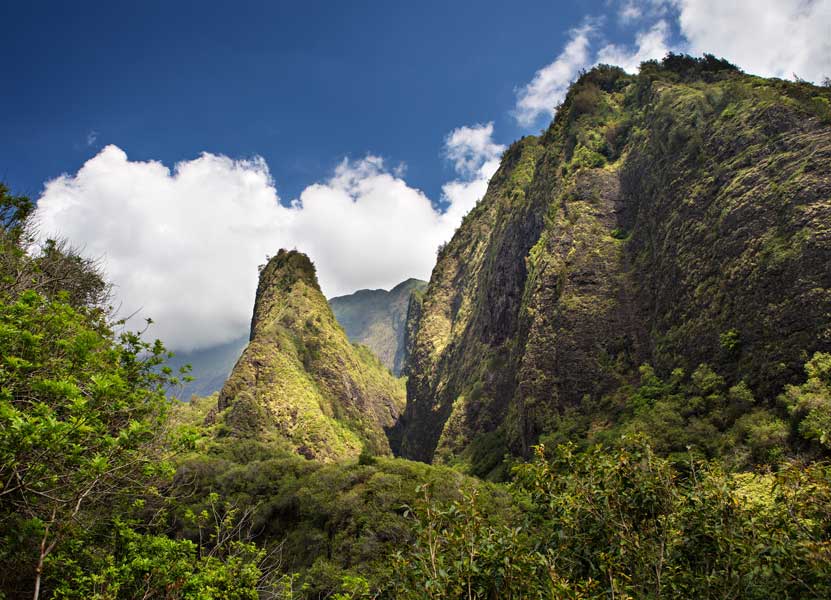 Explore Maui's Iao Valley Gardens