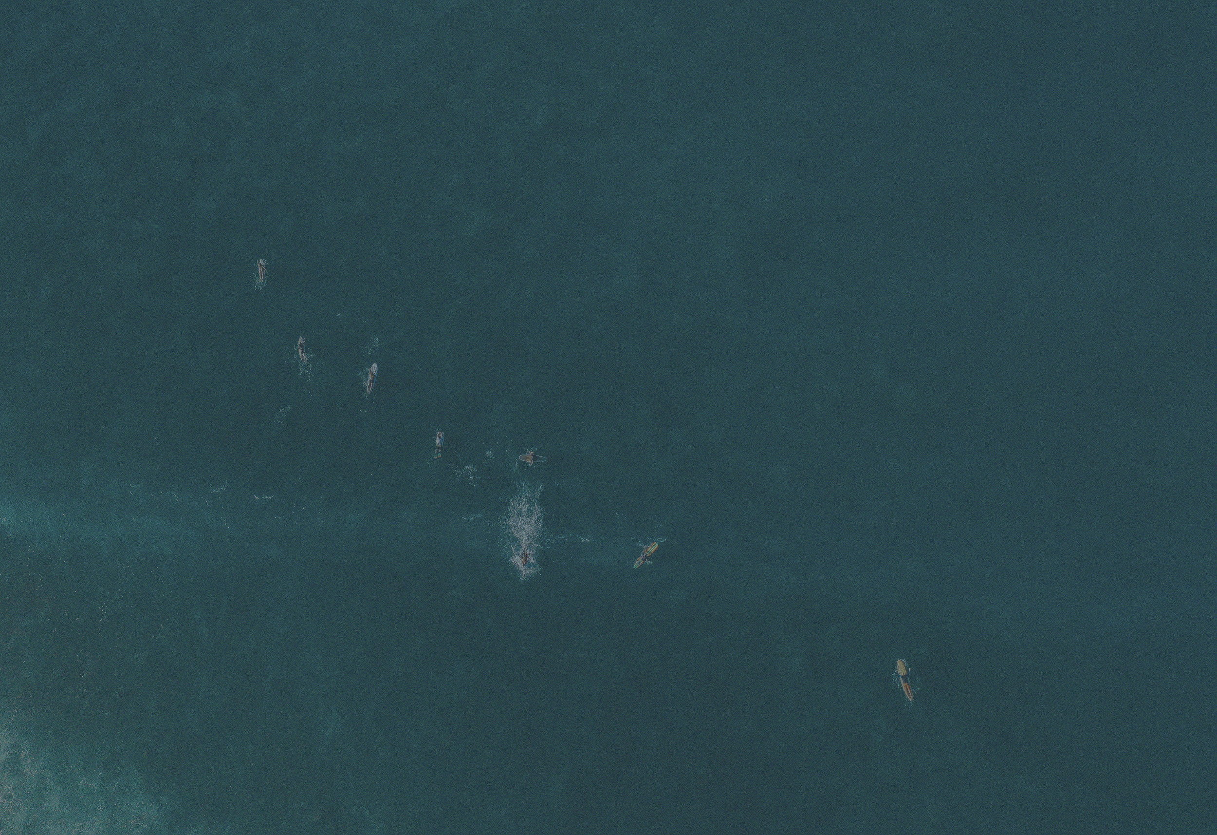 Aerial view of swimmers and surfers scattered in turquoise ocean water